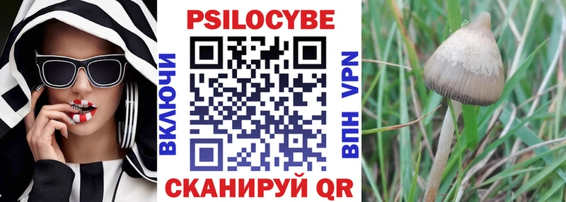 Псилоцибиновые грибы ЛСД  Купить где  Таганрог 